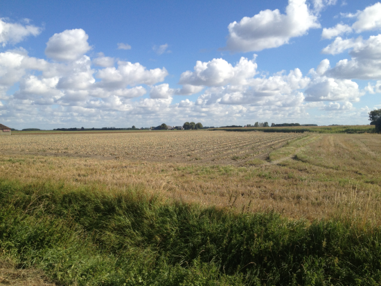 KIS rabdvoorwarden.png