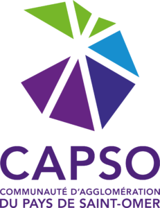 LOGO-CAPSO-CMJN-231x300.png