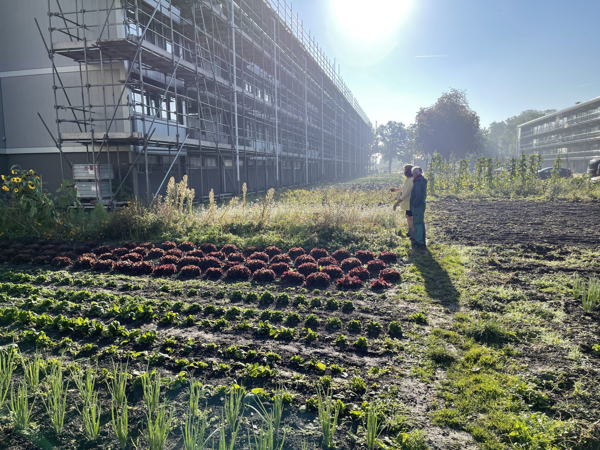 City-Seeds-8-oktober-2021 3036-1920x1440.jpg