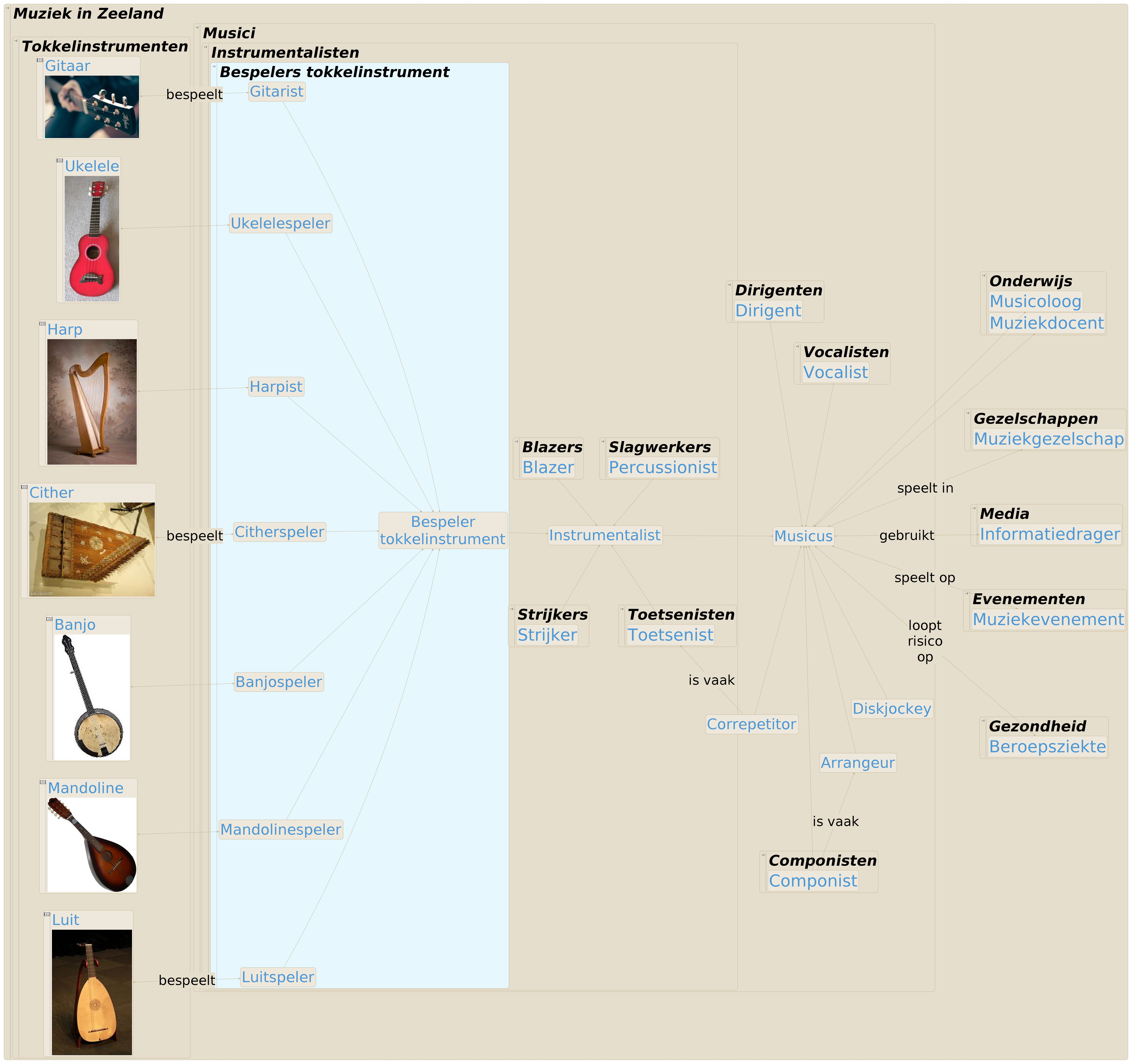 TMZK Bespelers tokkelinstrument.jpeg