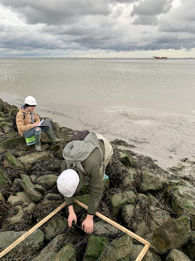 Students working.jpg