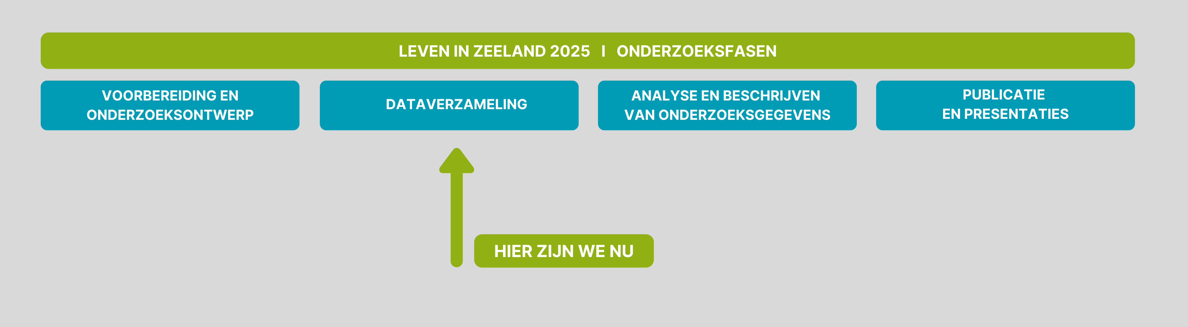 Onderzoeksfasen LiZ.png