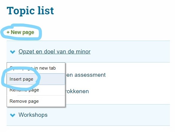 3 Add new page at project.jpg