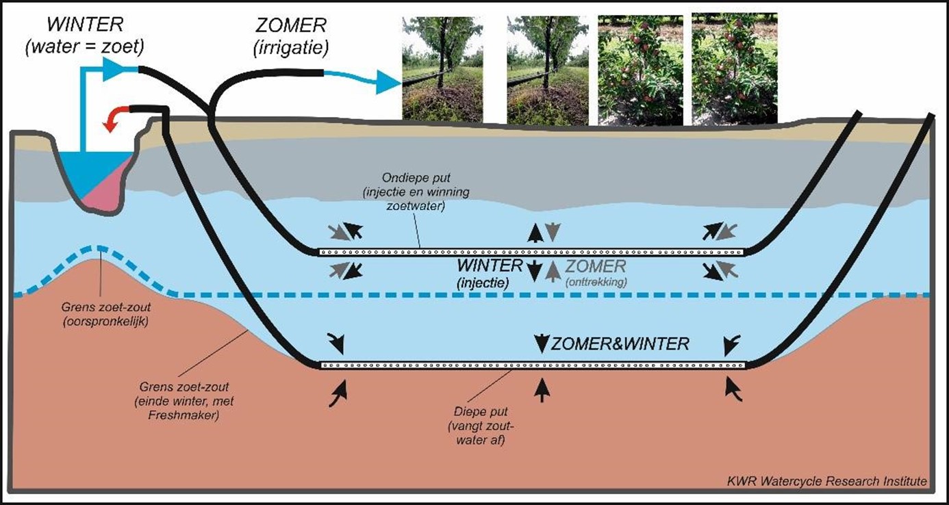 Freshmaker schema.jpg