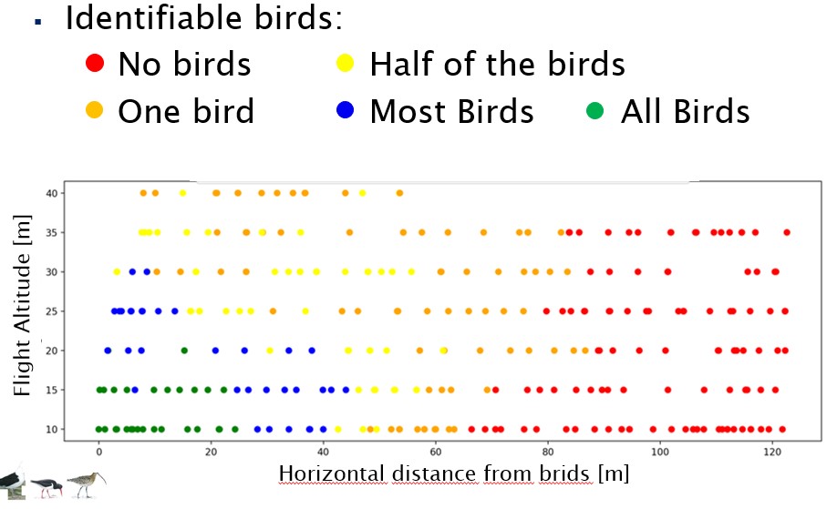 Results bird counting drone.jpg