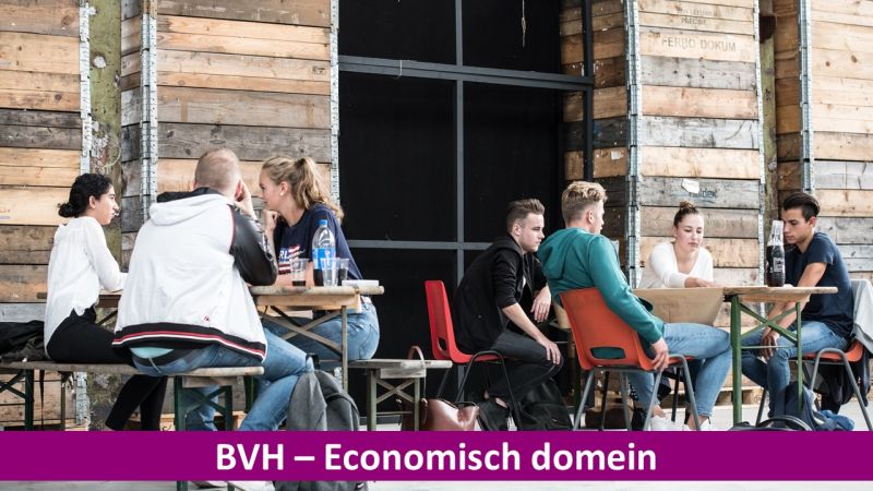 Bestand:BVH - studenten samenwerken.jpeg