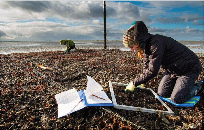 File:River Delta Development.jpg