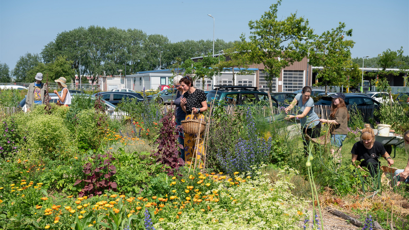 Bestand:HZ Garden Team.png