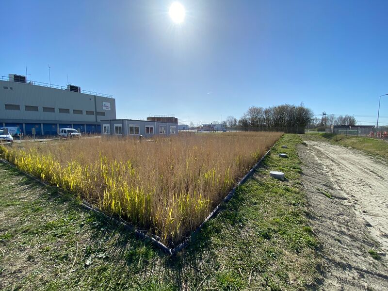 Bestand:TKI Wetlands .jpg