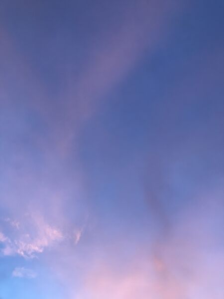 Bestand:Pink skies.jpeg