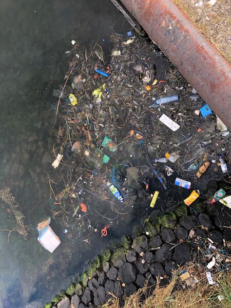 Bestand:Afval Binnenhaven 2020 - 2.jpg