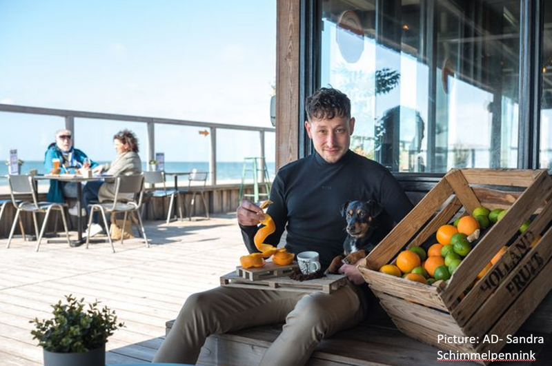 Bestand:Strandpaviljoens 8x6.png