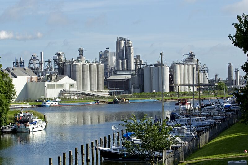 Bestand:HDJsasvangent 03H7321.jpg