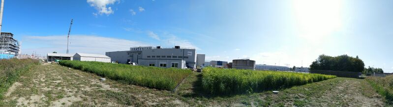 File:Wetland pilot 2.jpg