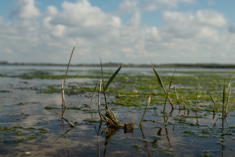 Bestand:Zoet water.jpg