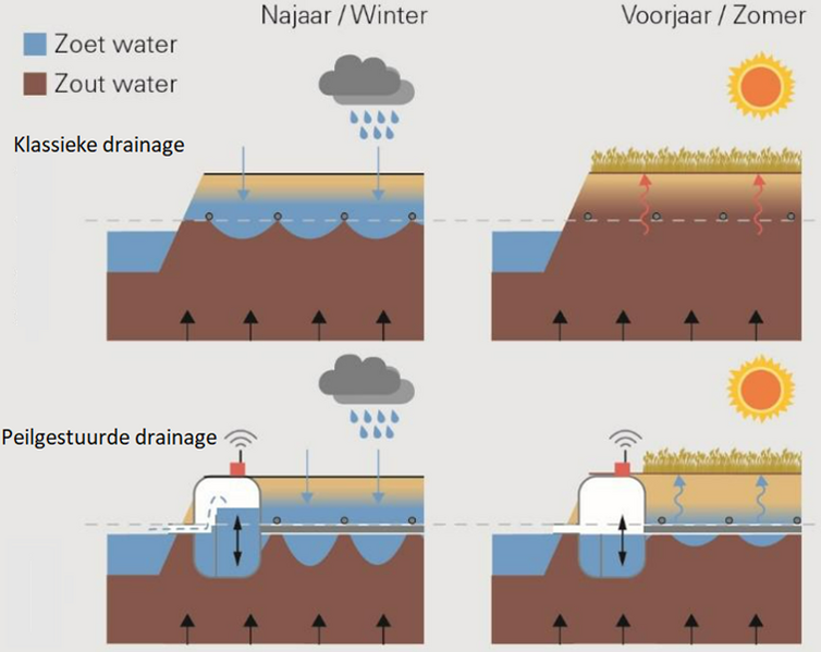 Bestand:Peilgestuurde drainage.png