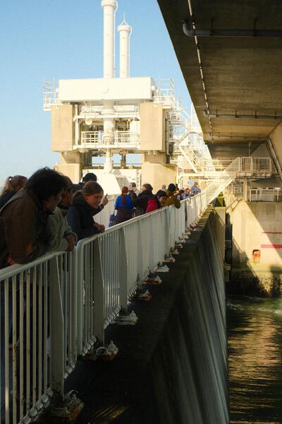 Bestand:DCC International sustainability fieldweek 2026.jpeg