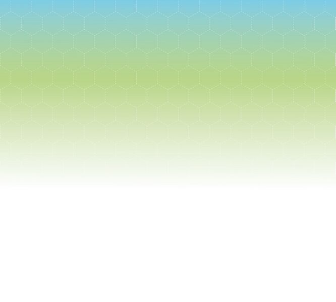 Bestand:HNS background.jpg