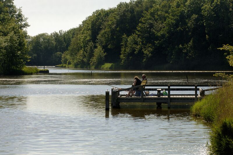 Bestand:Laatste pagina.jpg