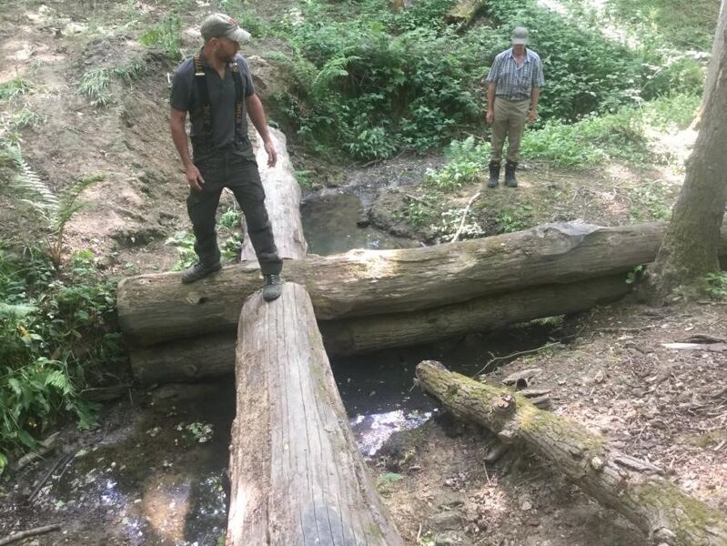 Bestand:Leaky woody structure.jpg