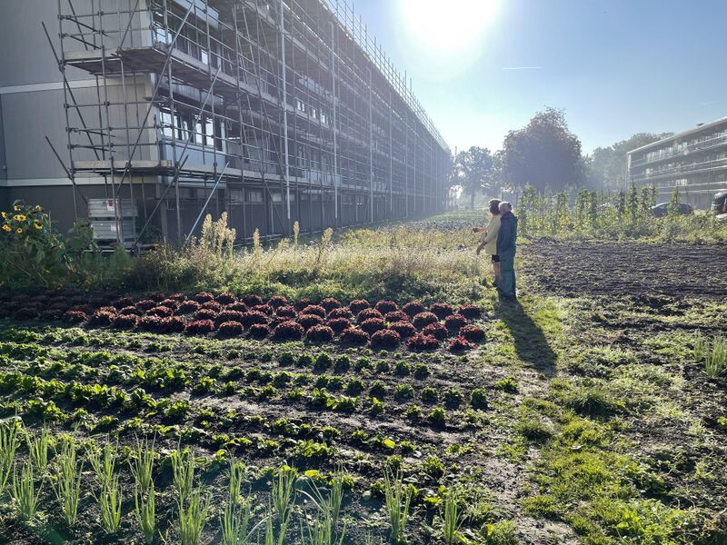 File:City-Seeds-8-oktober-2021 3036-1920x1440.jpg