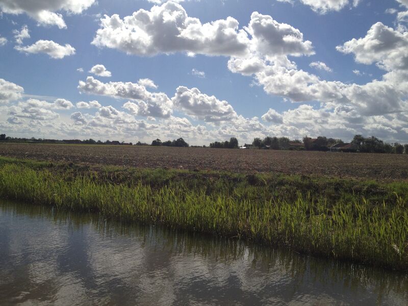 File:Gofresh homepage foto.jpg