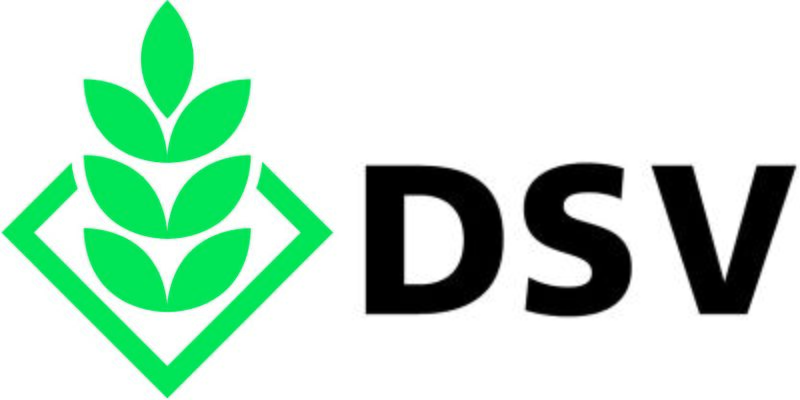 File:Logo DSV.jpg