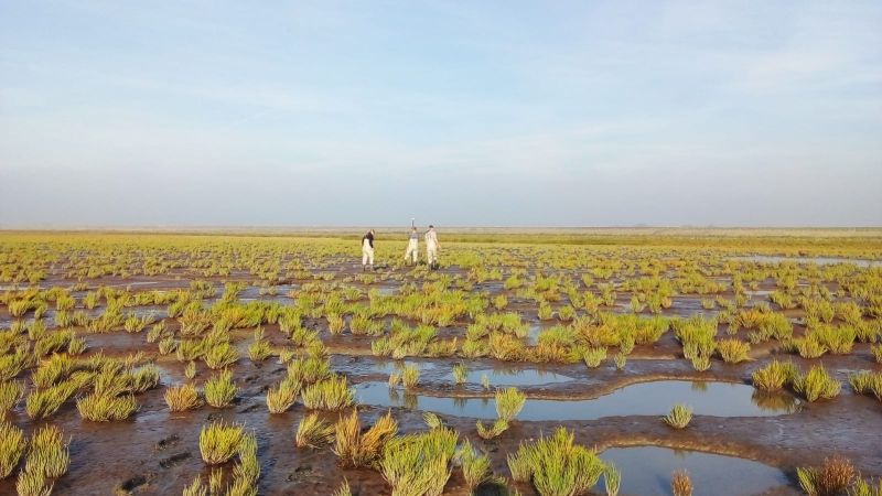 Bestand:Building with Nature onderzoek.jpg