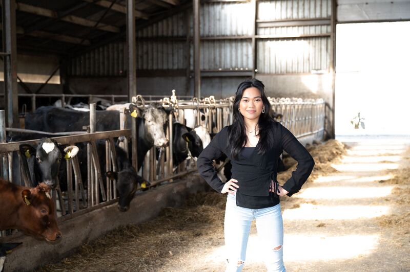 Bestand:Student koeienstal.jpg