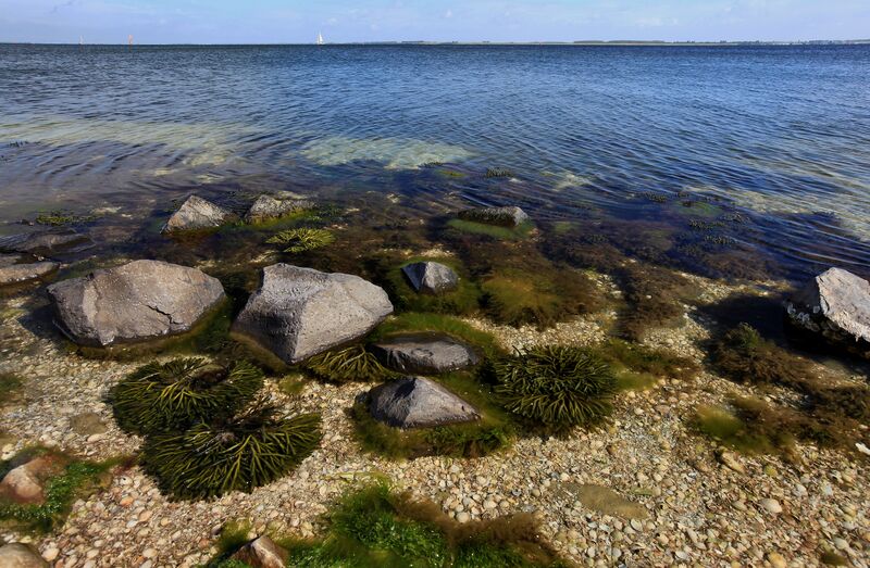 Bestand:Oosterschelde .jpg