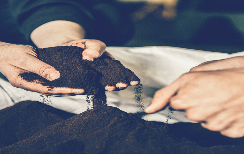 Bestand:Bio bean 8x6.png