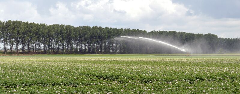 File:GoFresh banner.jpg