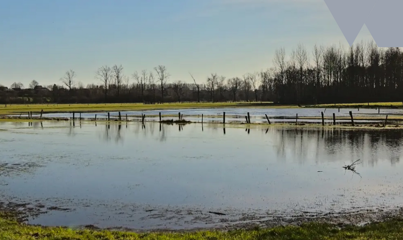 Bestand:Projectfoto Aquatuur.png