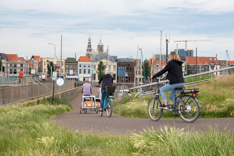 Bestand:Healthy Region .jpg