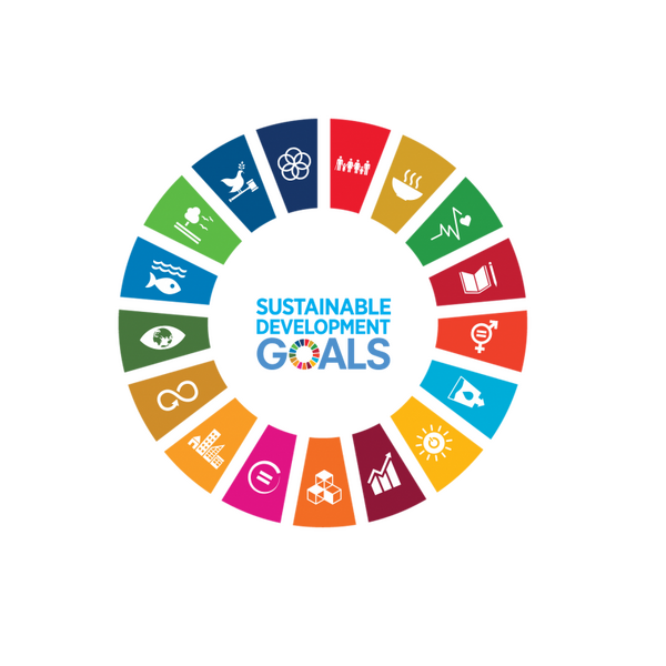 Bestand:SDG-logo.png