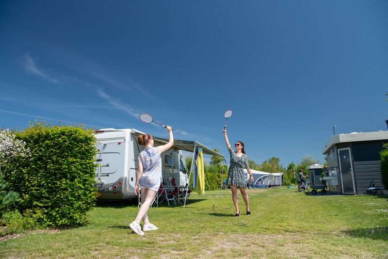 Bestand:Vaste gasten.jpg