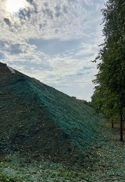 Bestand:Groene dijk 2.jpg