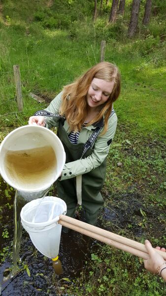 Bestand:HZ Dana Nolte.jpeg