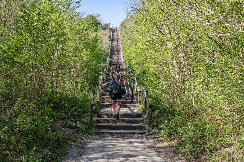 Bestand:2831 7MB.jpg