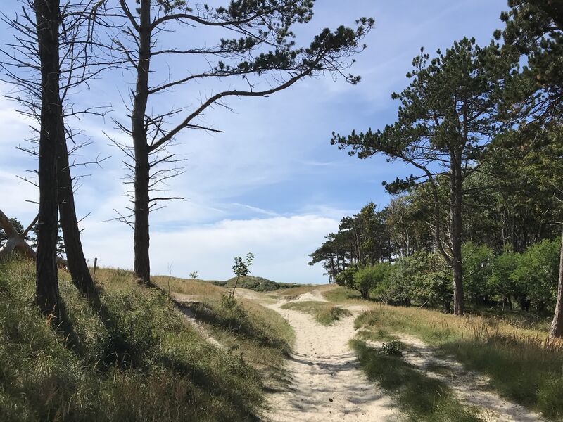 Bestand:Boswachterij 3.jpeg