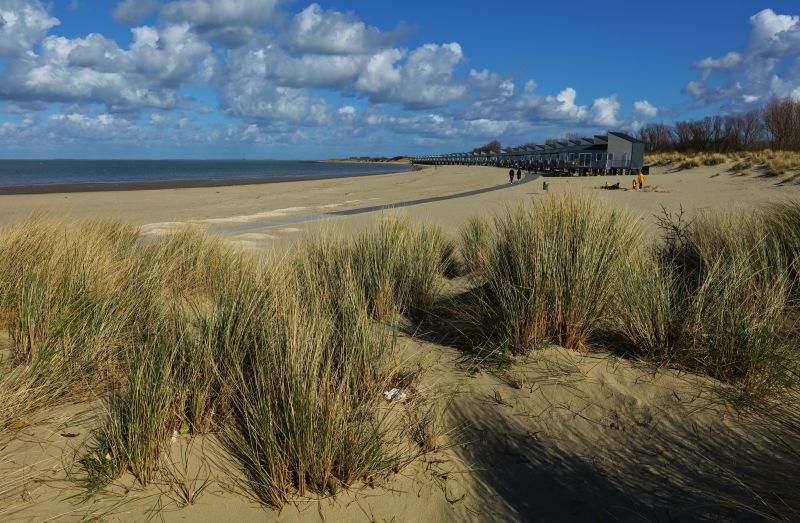 File:Ben Biondina - Roompot recreatie verhuurt veel recreatieobjecten. In Nederland en in Europa. Deze huisjes zijn wel heel speciaal. Je stapt zo uit je huisje op het strand..jpg