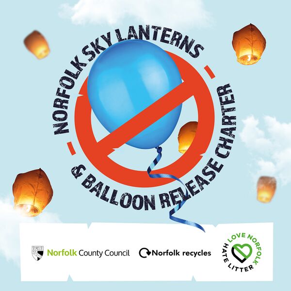 Bestand:ARK1158-NCC-Balloon-and-Lantern-Charter-Social-Posts - Alanna Richardson.jpg