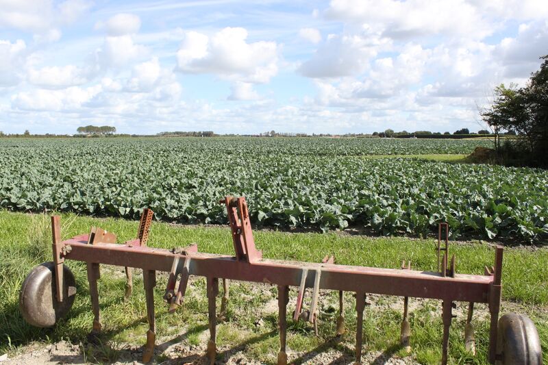 File:Drains2Buffer home page.jpg