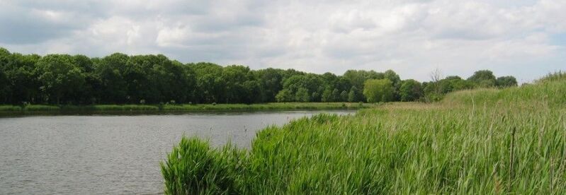 File:Otheense kreek.jpg