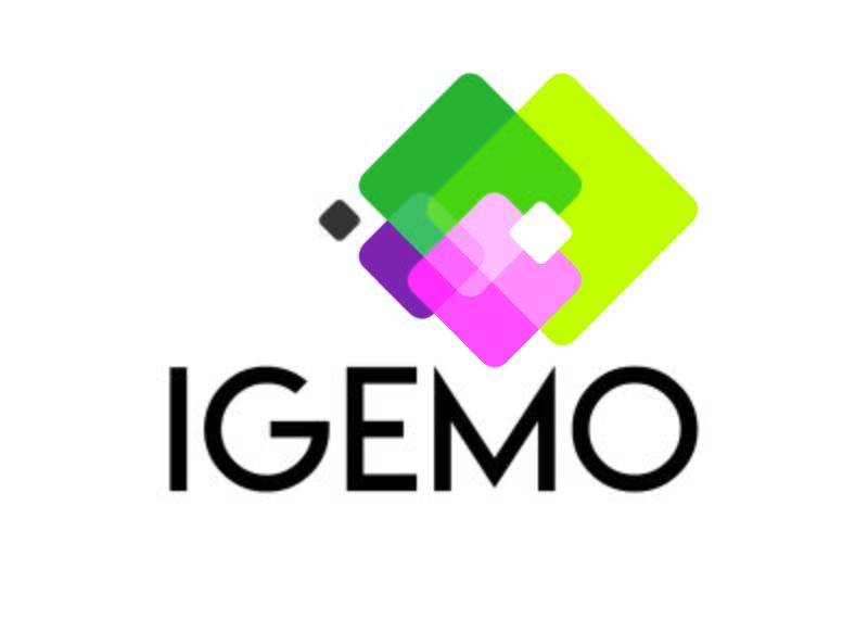 File:IGEMO-logo staand RGB.jpg