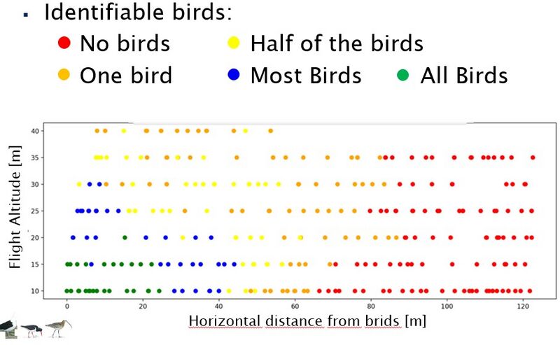 File:Results bird counting drone.jpg