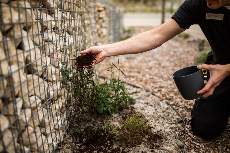 Bestand:Andrea & Hein Westduin-hergebruik koffiedrab.jpg