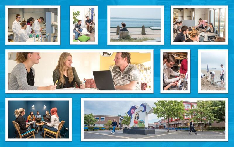 File:Banner Learn.jpg