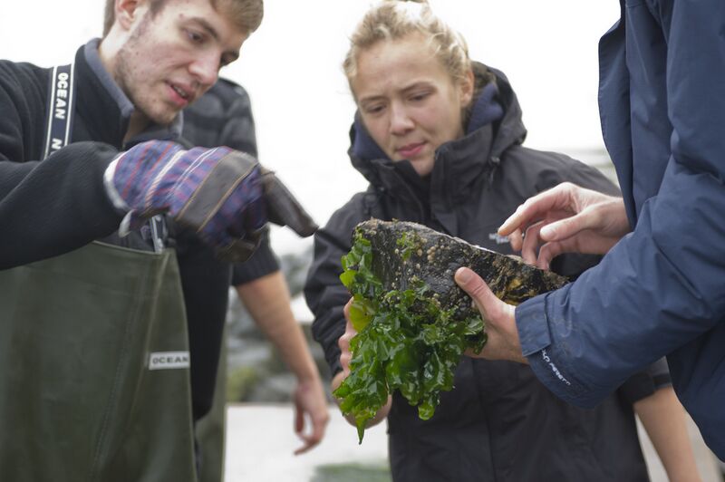 File:Onderzoek studenten.jpg