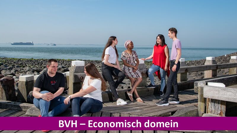 Bestand:BVH - kust.JPG